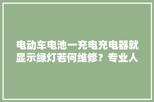 电动车电池一充电充电器就显示绿灯若何维修？专业人士来告诉你