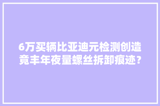 6万买辆比亚迪元检测创造竟丰年夜量螺丝拆卸痕迹？4S店：PDI做事 6万买辆比亚迪元检测创造竟丰年夜量螺丝拆卸痕迹？4S店：PDI做事 人工智能