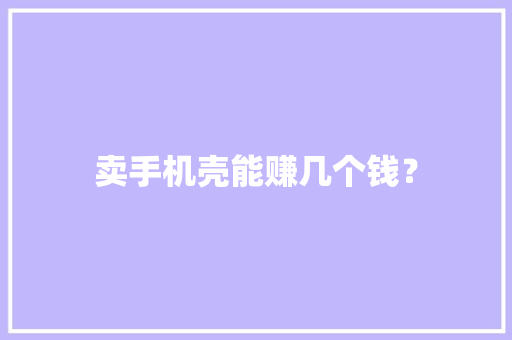 卖手机壳能赚几个钱？
