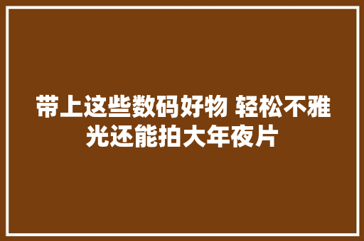 带上这些数码好物 轻松不雅光还能拍大年夜片