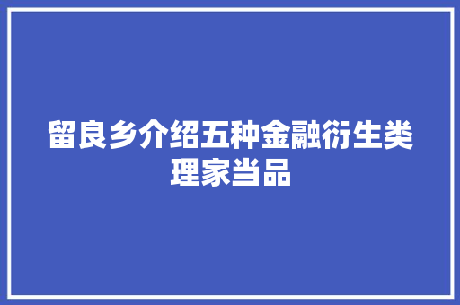 留良乡介绍五种金融衍生类理家当品