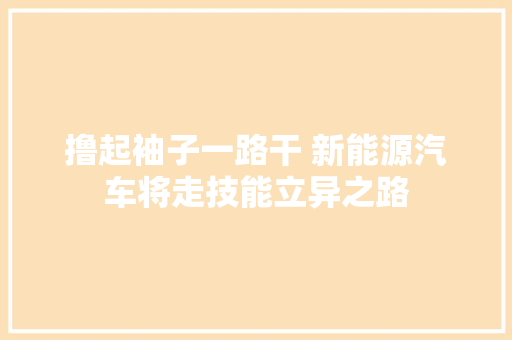 撸起袖子一路干 新能源汽车将走技能立异之路