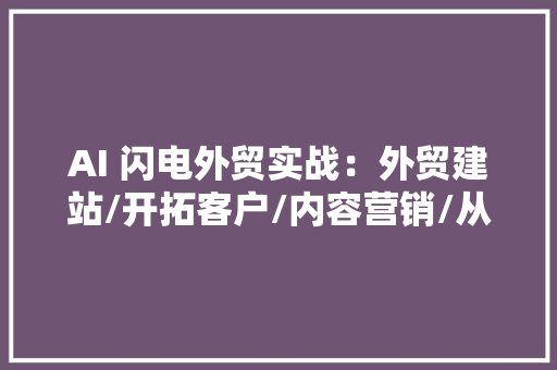 AI 闪电外贸实战：外贸建站/开拓客户/内容营销/从0到3做外贸AI
