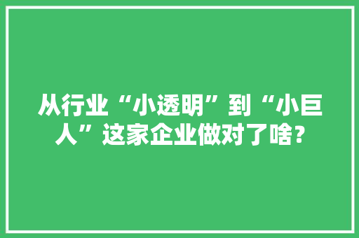 从行业“小透明”到“小巨人”这家企业做对了啥？ 从行业“小透明”到“小巨人”这家企业做对了啥？ 人工智能