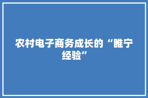 农村电子商务成长的“睢宁经验”