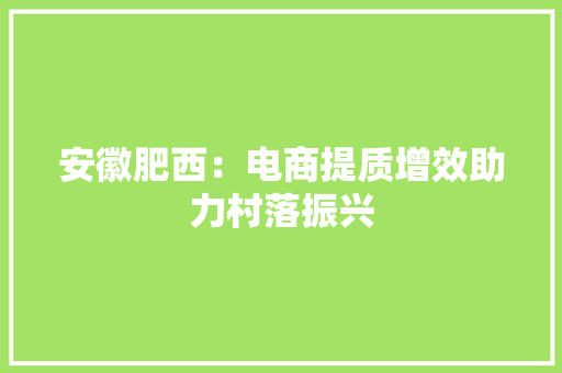 安徽肥西：电商提质增效助力村落振兴