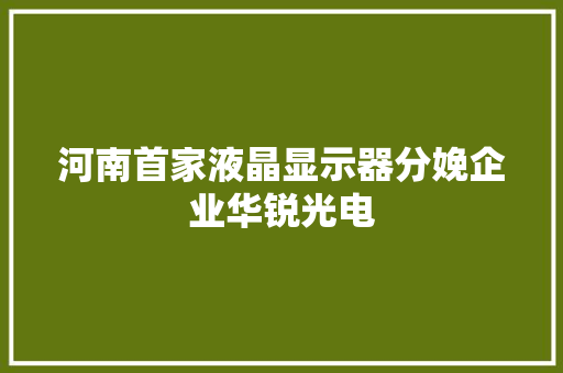 河南首家液晶显示器分娩企业华锐光电