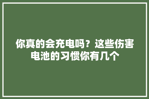 你真的会充电吗？这些伤害电池的习惯你有几个