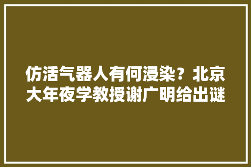 仿活气器人有何浸染？北京大年夜学教授谢广明给出谜底 仿活气器人有何浸染？北京大年夜学教授谢广明给出谜底 人工智能