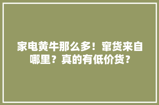 家电黄牛那么多！窜货来自哪里？真的有低价货？