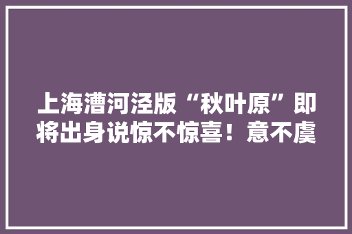 上海漕河泾版“秋叶原”即将出身说惊不惊喜！意不虞外？