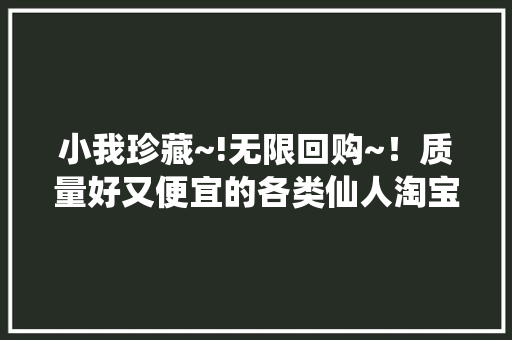 小我珍藏~!无限回购~！质量好又便宜的各类仙人淘宝商号