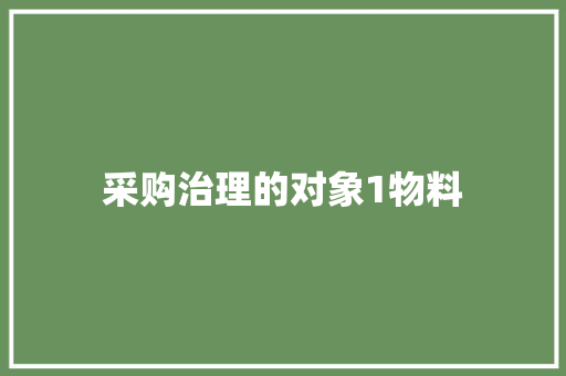 采购治理的对象1物料