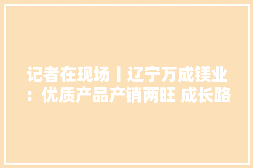 记者在现场丨辽宁万成镁业：优质产品产销两旺 成长路上蹄疾步稳 记者在现场丨辽宁万成镁业：优质产品产销两旺 成长路上蹄疾步稳 智能家居