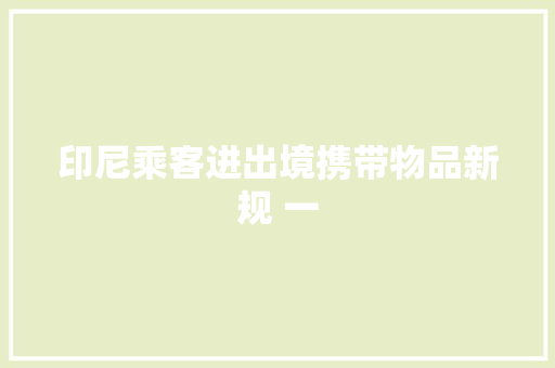 印尼乘客进出境携带物品新规 一