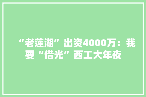 “老莲湖”出资4000万：我要“借光”西工大年夜