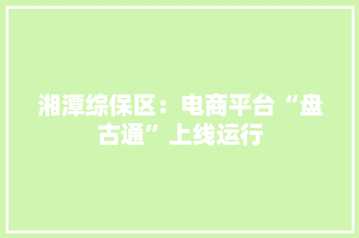 湘潭综保区：电商平台“盘古通”上线运行