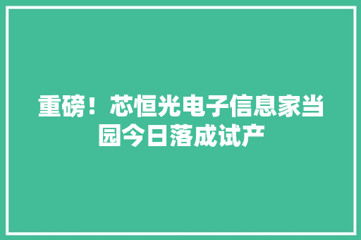 重磅！芯恒光电子信息家当园今日落成试产 重磅！芯恒光电子信息家当园今日落成试产 智能家居