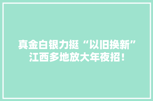 真金白银力挺“以旧换新”江西多地放大年夜招！