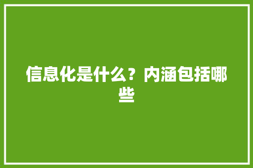 信息化是什么？内涵包括哪些