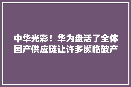 中华光彩！华为盘活了全体国产供应链让许多濒临破产的企业活了,华为mate70。