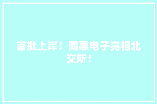 首批上岸！同惠电子亮相北交所！