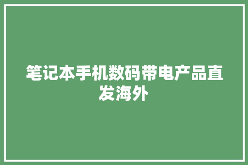 笔记本手机数码带电产品直发海外