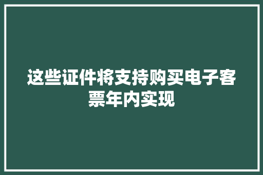 这些证件将支持购买电子客票年内实现