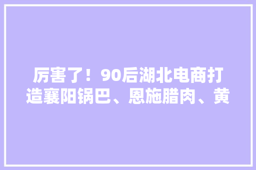 厉害了！90后湖北电商打造襄阳锅巴、恩施腊肉、黄石油面等爆款