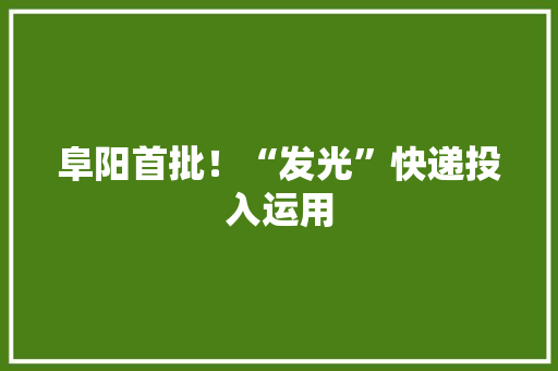 阜阳首批！“发光”快递投入运用