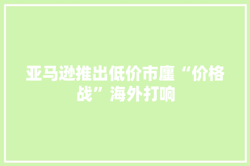 亚马逊推出低价市廛“价格战”海外打响