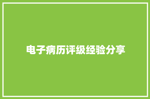 电子病历评级经验分享