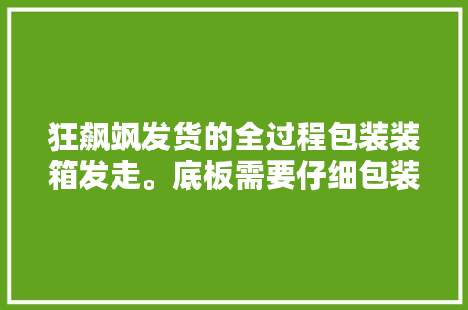 狂飙飒发货的全过程包装装箱发走。底板需要仔细包装...