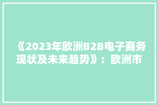 《2023年欧洲B2B电子商务现状及未来趋势》：欧洲市场选择颇多！,电商是做什么的。