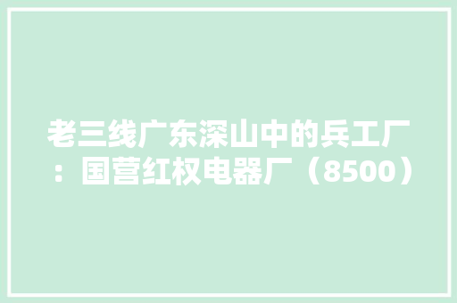 老三线广东深山中的兵工厂：国营红权电器厂（8500）