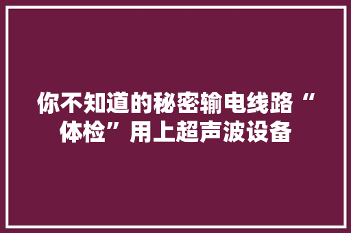 你不知道的秘密输电线路“体检”用上超声波设备
