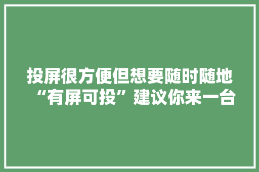 投屏很方便但想要随时随地“有屏可投”建议你来一台便携屏