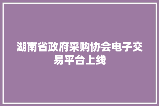 湖南省政府采购协会电子交易平台上线
