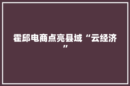 霍邱电商点亮县域“云经济”