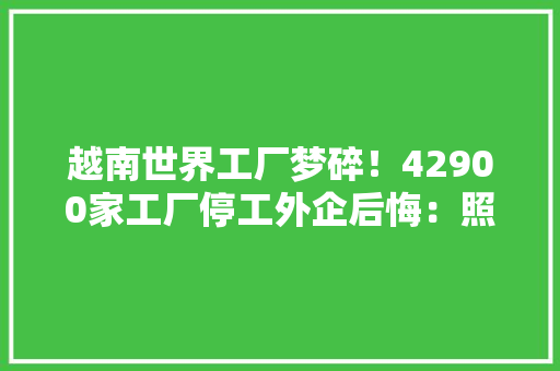 越南世界工厂梦碎！42900家工厂停工外企后悔：照样中国靠谱,越南币换人民币汇率。