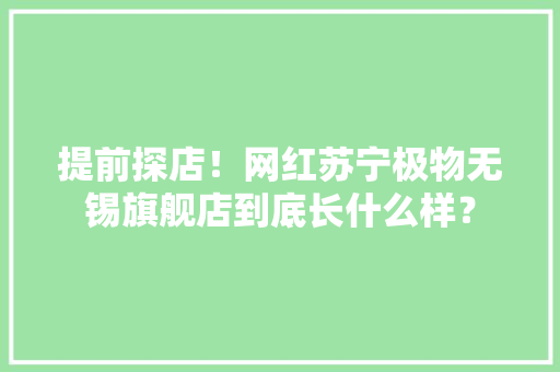 提前探店！网红苏宁极物无锡旗舰店到底长什么样？