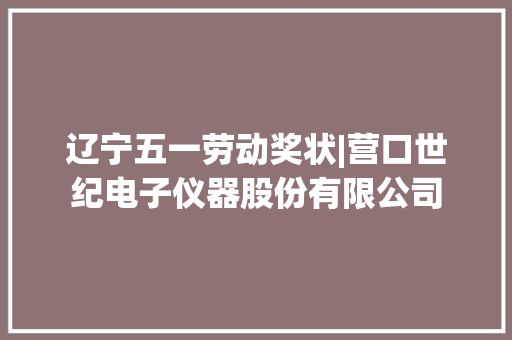 辽宁五一劳动奖状|营口世纪电子仪器股份有限公司