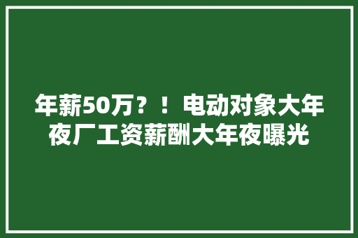 年薪50万？！电动对象大年夜厂工资薪酬大年夜曝光
