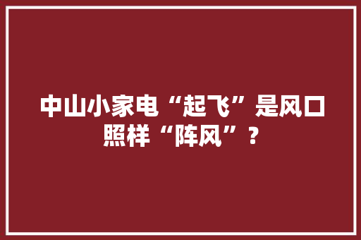 中山小家电“起飞”是风口照样“阵风”？