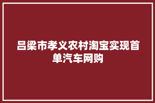 吕梁市孝义农村淘宝实现首单汽车网购