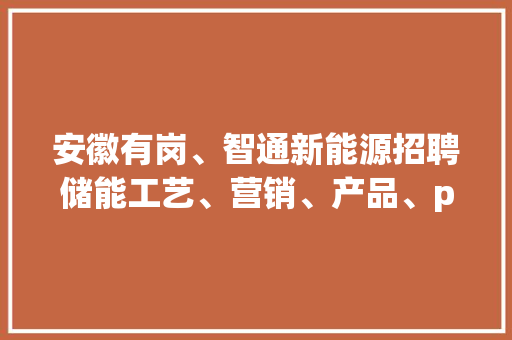 安徽有岗、智通新能源招聘储能工艺、营销、产品、pack相关岗位