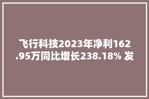 飞行科技2023年净利162.95万同比增长238.18% 发卖综合毛利率增加