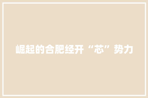 崛起的合肥经开“芯”势力 崛起的合肥经开“芯”势力 智能家居