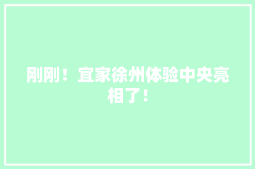 刚刚！宜家徐州体验中央亮相了！