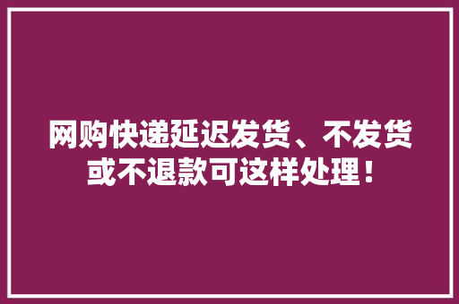 网购快递延迟发货、不发货或不退款可这样处理！